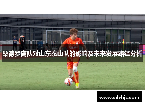 桑德罗离队对山东泰山队的影响及未来发展路径分析
