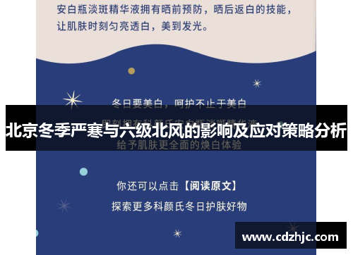 北京冬季严寒与六级北风的影响及应对策略分析