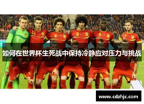 如何在世界杯生死战中保持冷静应对压力与挑战